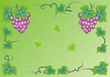 Grapes background