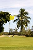 tropical golf course