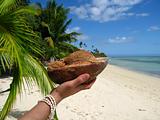 Coconut on a hand