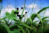 Four leaf clover in grass jigsaw
