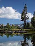 High Sierra Pond
