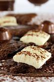 Chocolate bonanza with white chocolate