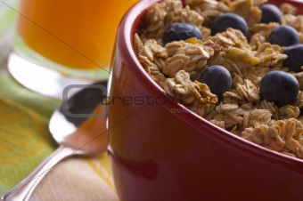 Bowl of Granola and Blueberries