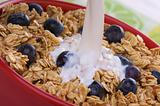 Bowl of Granola and Blueberries and Milk