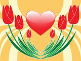 tulips and heart