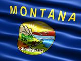 Flag of the state of Montana 