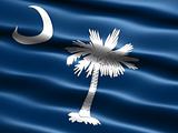 Flag of the state of South Carolina