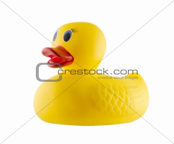 Child's Rubber Duck