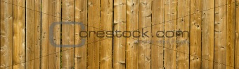 Panoramic Wooden Texture