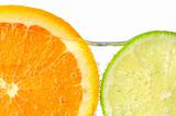 Orange and lime slices in water 