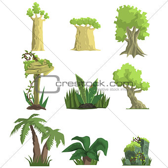 Tropical Forest Landscape Elements