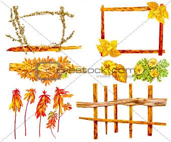 drawing of dried fall leaves of plants  and branches isolated el