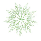 green leaves mandala