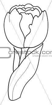 Vector black contour of a tulip flower