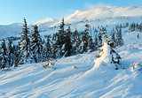 Morning winter mountain landscape (Carpathian).