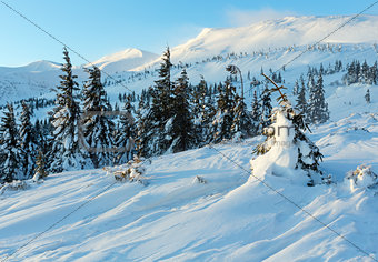Morning winter mountain landscape (Carpathian).