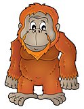 Orangutan theme image 1
