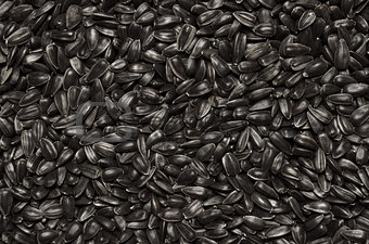 Textured background from selected sunflower seeds