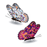 Two colorful butterflies.