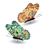 Two colorful butterflies.