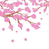 Watercolor sakura branch with blooming flowers and copy space. 