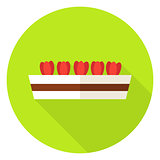 Flower Pot with Tulips Circle Icon