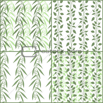 Set of seamless pattern branches of eucalyptus and Camphor laurel. Vector green floral backgrounds
