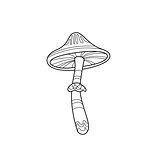 Mushroom Zentangle For Coloring