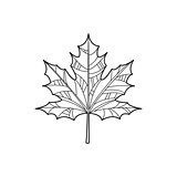 Maple Leaf Zentangle For Coloring