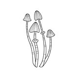 Magic Mushrooms Zentangle For Coloring