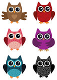 Owl Background