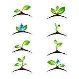 Green Sprout Icon or Logo Design Set