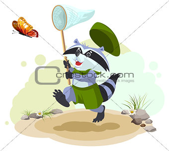 Scout raccoon butterfly catches. Entomologist with butterfly net. Summer leisure