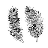 Art feather, zentangle style for your design