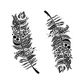 Art feather, zentangle style for your design