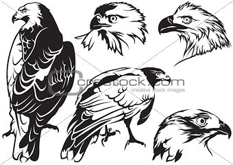 Eagle Tattoo Drawings