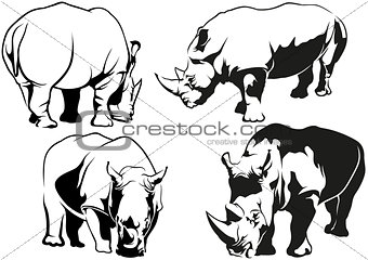 Rhinoceros Tattoo Drawings