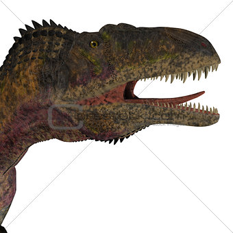 Acrocanthosaurus Dinosaur Head