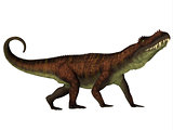 Prestosuchus Side Profile