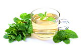 Cup of mint tea with fresh mint