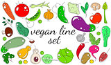 vegetarian set of vegetables and fruits