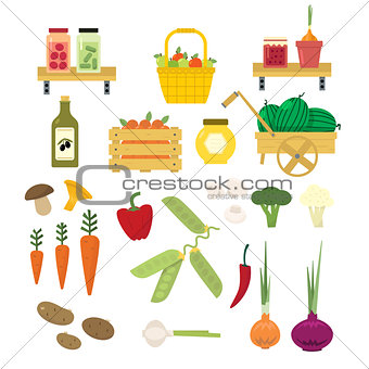 Organic Food Icons Set
