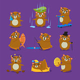 Brown Bear Different Emotions Set