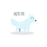 Arctic Fox Vector Illustration