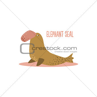 Elephant Seal Vector Illustration