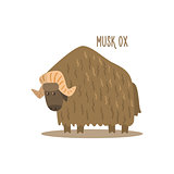 Musk Ox Vector Illustration