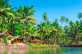 tropical palms and bungalows to relax from the hectic