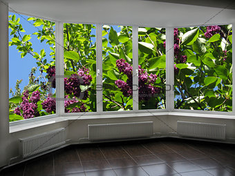 windows overlook to the garden with big bush of lilac