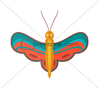 Colored cartoon butterfly vector isolated on white background.