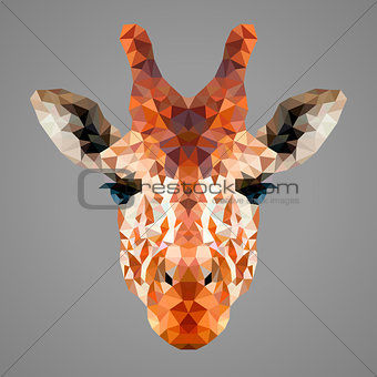 Giraffe low poly portrait